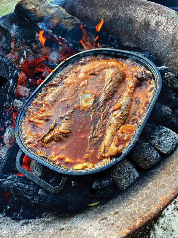 Combo Camp Oven - Image 3