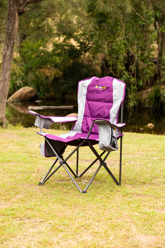 Cooler Arm Chair - Purple - Image 8