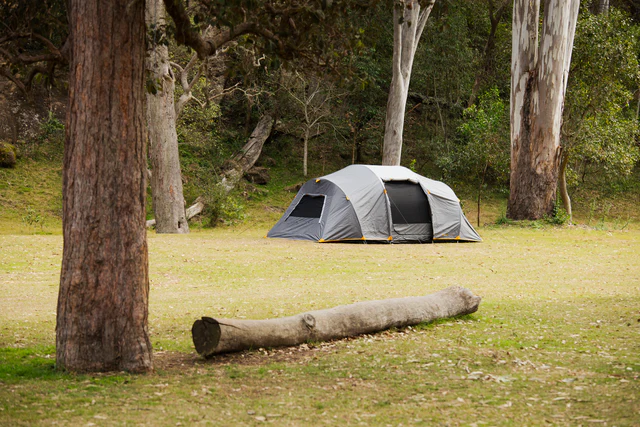 Genesis II 9P Dome Tent - Image 6