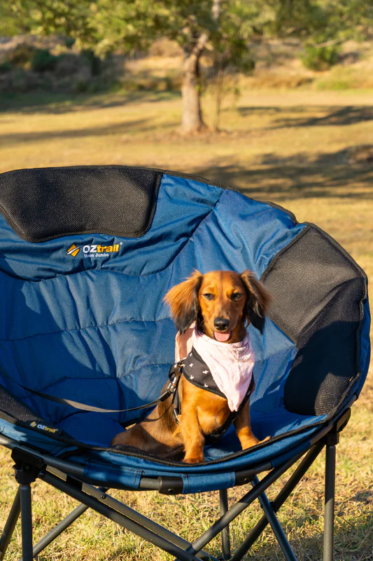 Moon Chair Jumbo - Blue - Image 3