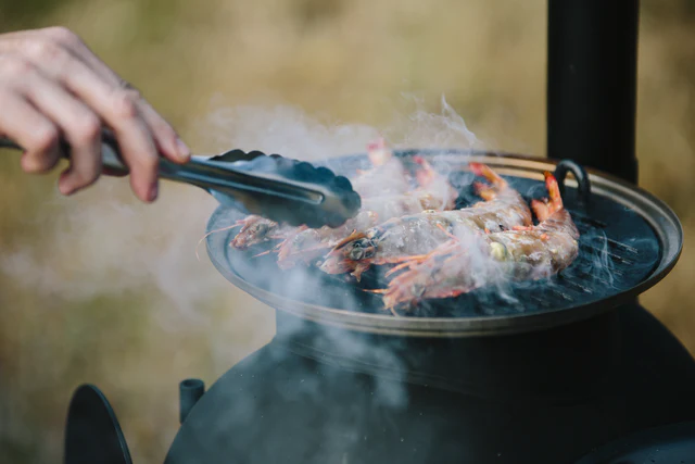 Ozpig Series 2 Portable Wood Fire Stove - Image 8