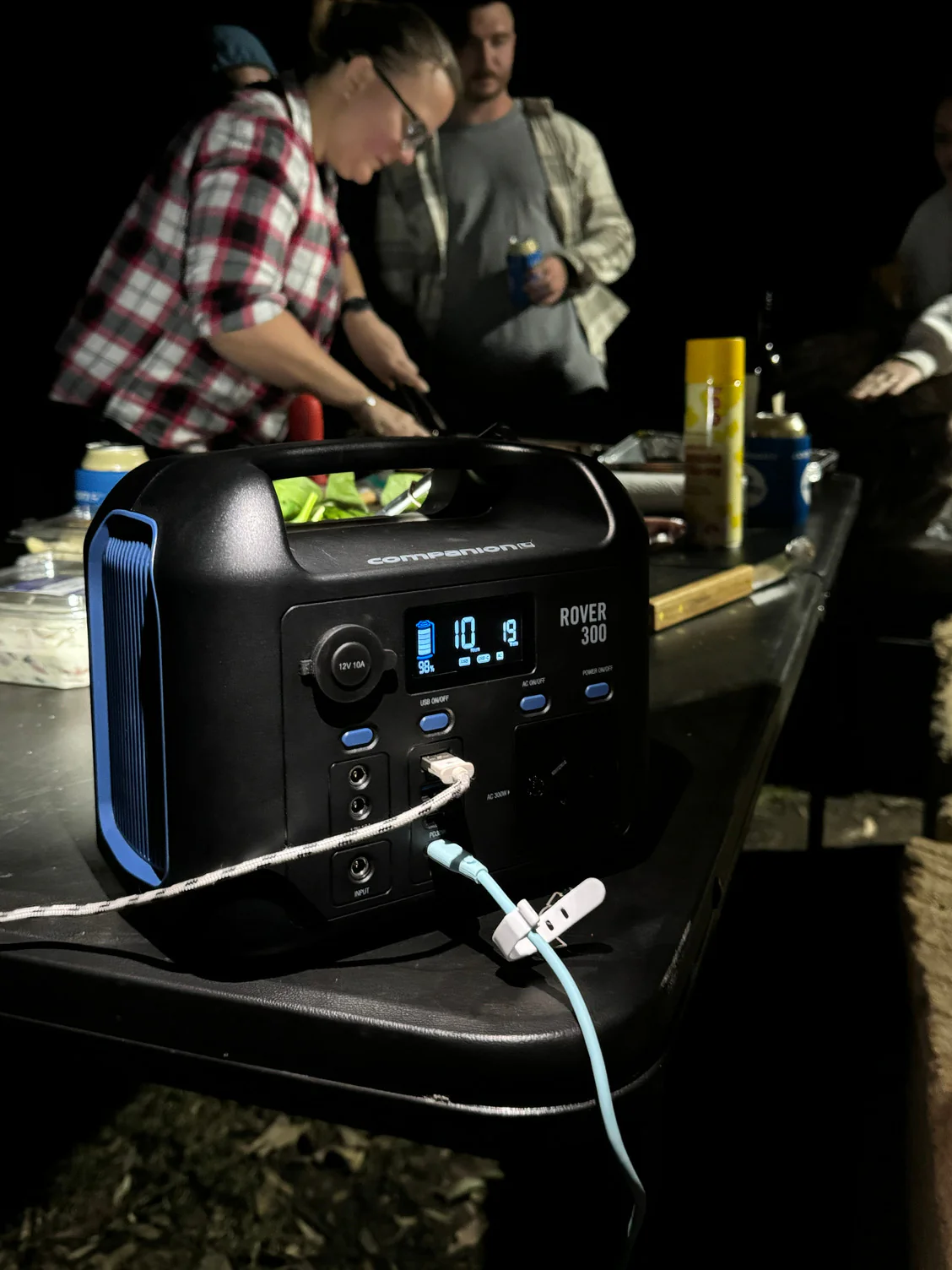 Rover 300 Power Station - Image 5